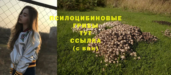 мяу мяу мука Михайловск