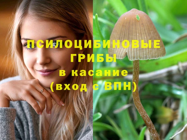 мяу мяу мука Михайловск