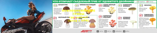 мяу мяу мука Михайловск