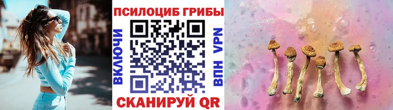 Псилоцибиновые грибы прущие грибы  магазин  наркотиков  Фрязино 
